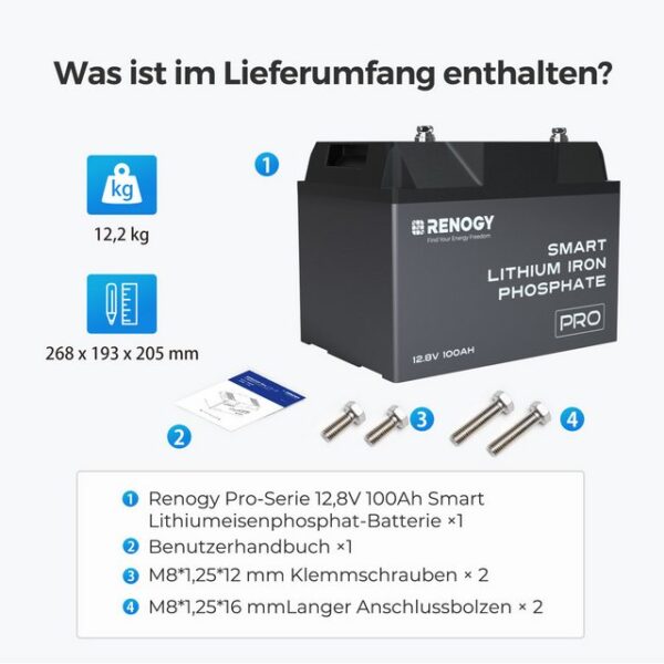 RENOGY 12V 100Ah LiFePO4 Lithium Batterie mit Bluetooth und Selbstheizung Powerbank, Deep Cycle Batterie 5000+ Tiefenzyklen, staubdicht IP67, Backup-Power