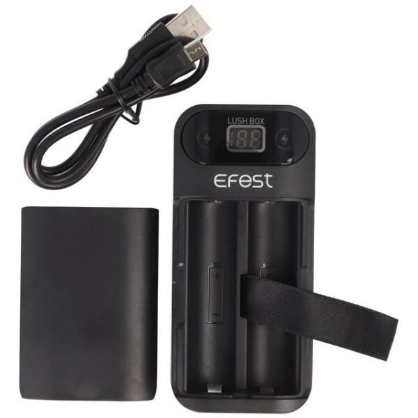 EFEST Powerbank und 18650 Li-ion Ladegerät für 18650 3,6V -3,7V Lithium Ion Akku